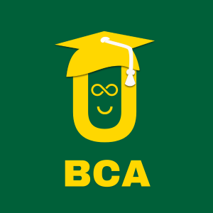 Online BCA
